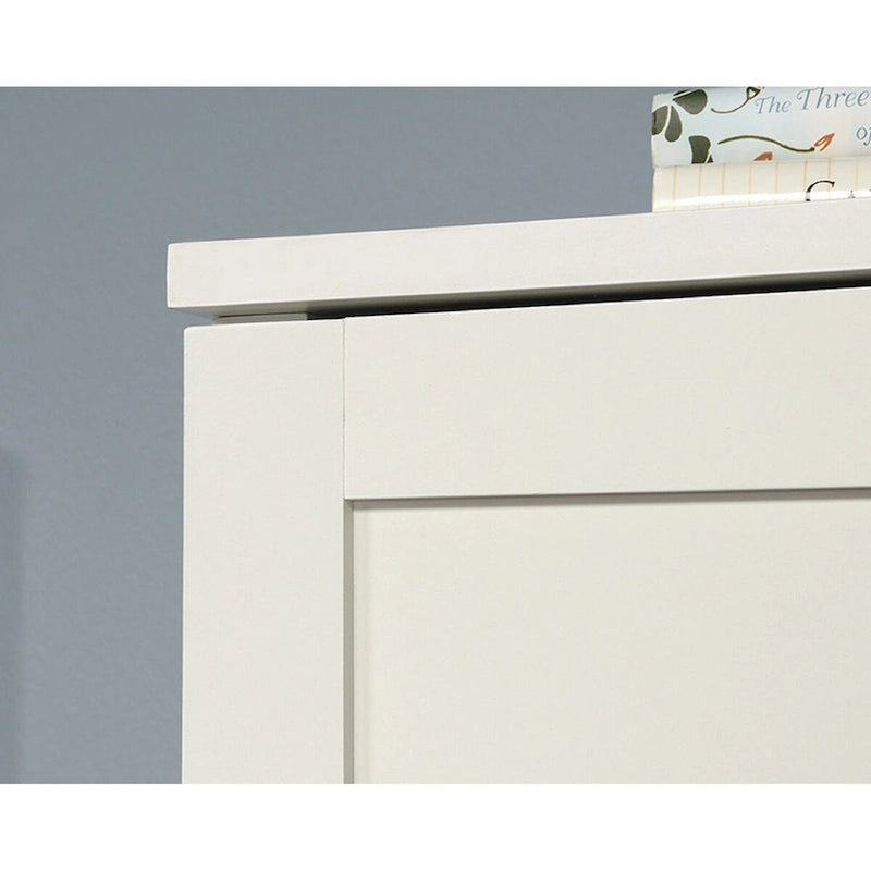 Freestanding Storage Cabinet with Framed Panel Doors & 4 Shelves